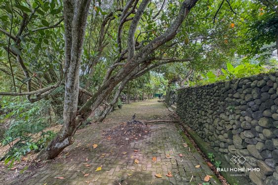 Image 9 from 18.75 are land for sale with ricefield view in North Canggu