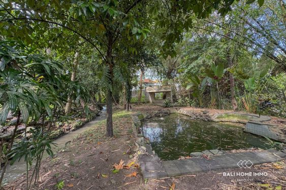 Image 6 from 18.75 are land for sale with ricefield view in North Canggu