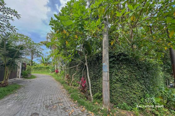 Image 10 from 18.75 are land for sale with ricefield view in North Canggu