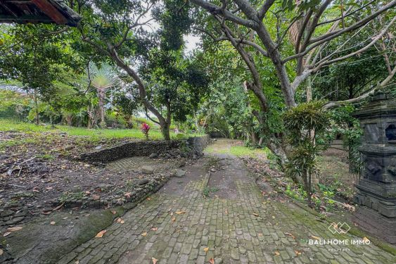 Image 8 from 18.75 are land for sale with ricefield view in North Canggu