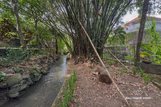 Image 7 from 18.75 are land for sale with ricefield view in North Canggu