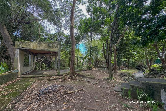 Image 5 from 18.75 are land for sale with ricefield view in North Canggu