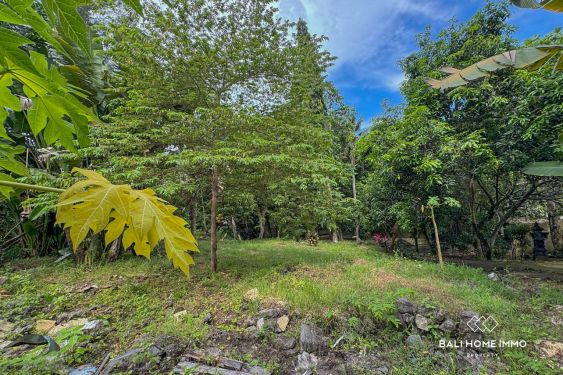 Image 4 from 18.75 are land for sale with ricefield view in North Canggu