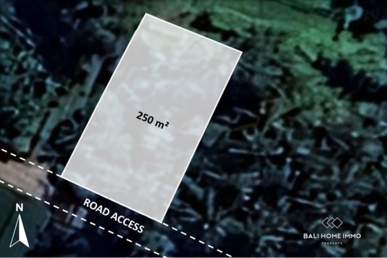 Image 1 from 2.5 are land with ricefield view for sale in kedungu