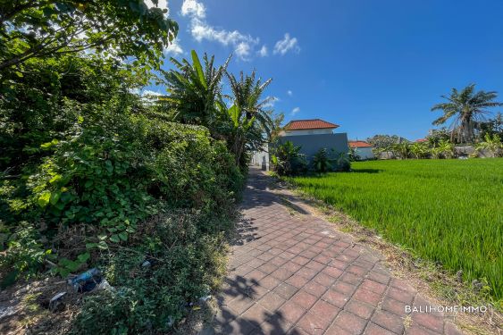 Image 2 from 2 ARE RICEFIELD VIEW LAND FOR SALE LEASEHOLD IN BALI SEMINYAK