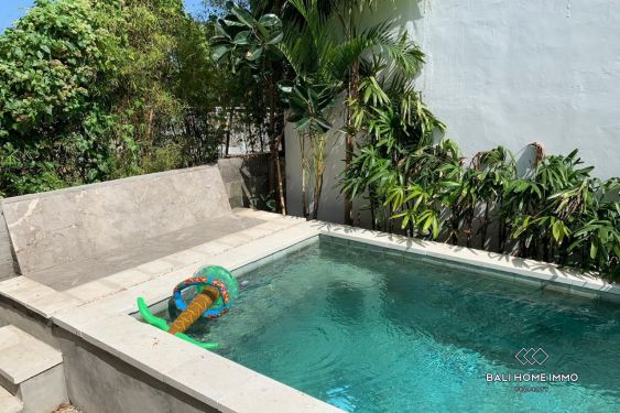 Image 7 from 2 Bedroom Apartment for Yearly Rental in Berawa