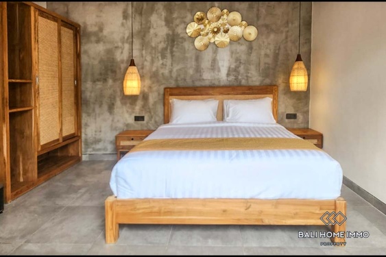 Image 5 from 2 Bedroom Family Villa For Rent in Canggu Residential Side