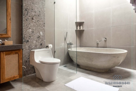 Image 8 from 2 Bedroom Family Villa For Rent in Canggu Residential Side