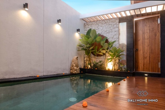 Image 2 from 2 Bedroom Family Villa For Rent in Canggu Residential Side