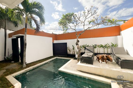 Image 11 from 2 Bedroom Villa For Yearly Rental in Umalas