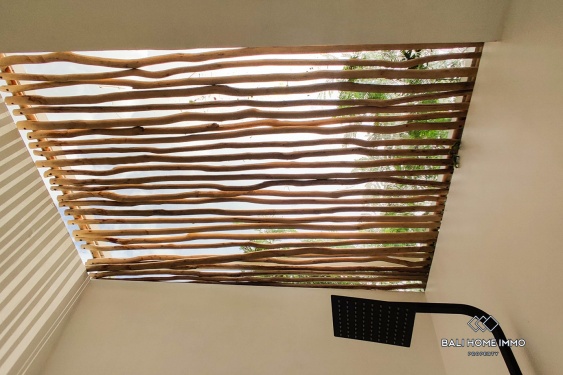 Image 12 from 2 Bedroom House Villa for Rent in Pererenan Northside