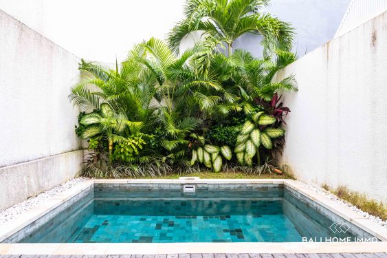 Image 16 from Villa Investasi 2 kamar tidur untuk dijual leasehold di Tumbak Bayuh Pererenan