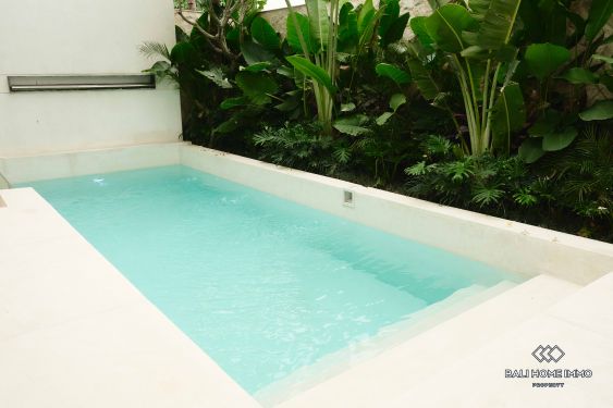 Image 4 from Vila Berdesain Mewah dengan 2 Kamar Tidur Disewakan Jangka Panjang di Sisi Perumahan Canggu