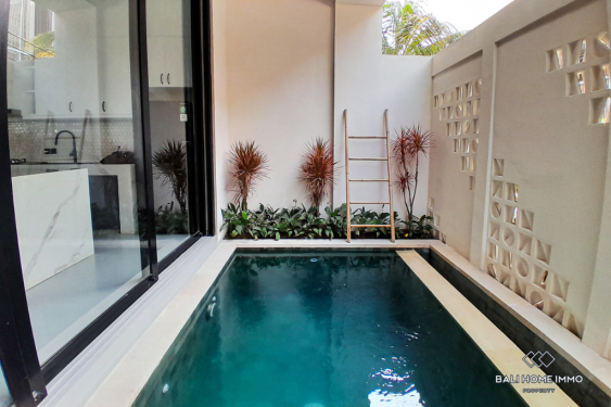 Image 2 from Villa minimaliste de 2 chambres à vendre en bail au centre de Berawa Bali