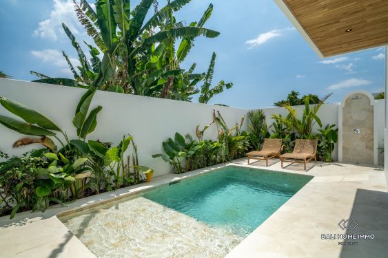 Image 19 from 2 Bedroom Modern Villa for sale leasehold in Seseh Residential side