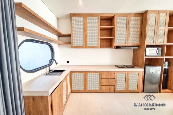Image 7 from Villa 2 Kamar Baru Disewakan di Canggu Berawa