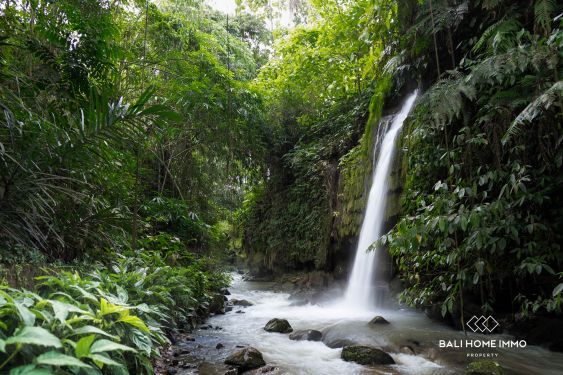 Image 18 from Villa de 2 chambres sur plan avec vue sur la jungle à vendre à Ubud