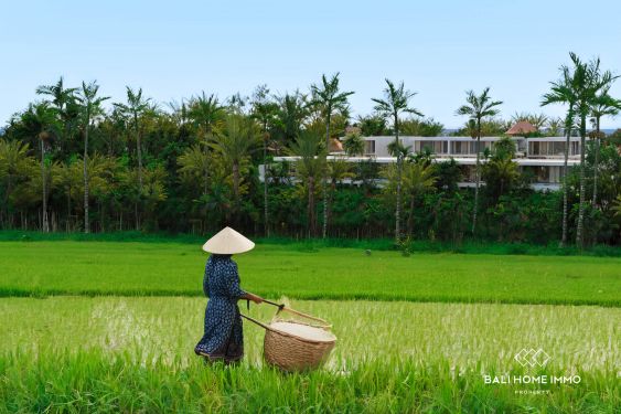 Image 17 from Villa de 2 chambres sur plan avec vue sur la jungle à vendre à Ubud