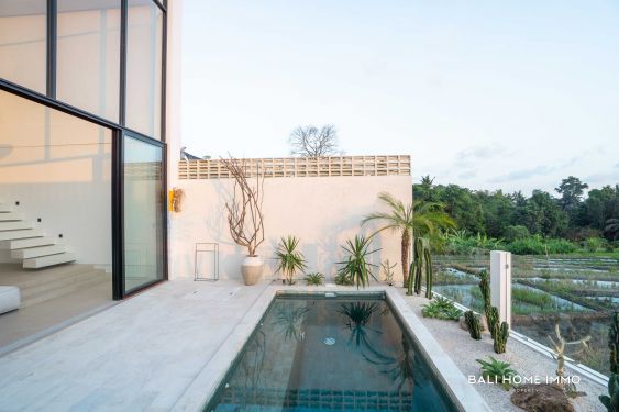 Image 19 from VILLA BARU 2 KAMAR BERPEMANDANGAN SAWAH UNTUK DIJUAL SEWA DI BUWIT