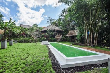 Image 3 from 2 Bedroom Riverview Villa For Sale Leasehold in North Canggu