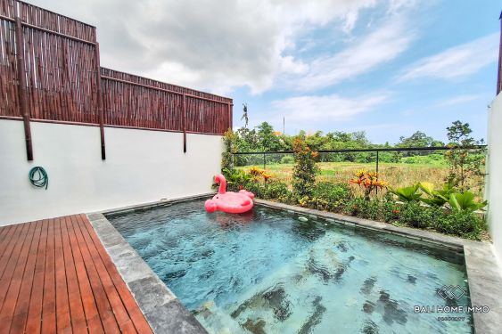 Image 13 from 2 Bedroom Townhouse Villa for Rent in Canggu Residential side