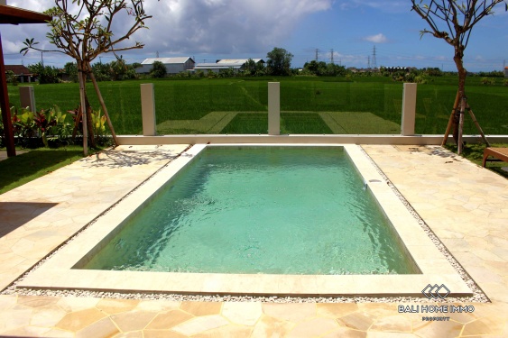 Image 15 from Villa de 2 chambres avec vue sur les rizières tropicales à vendre à Kedungu Bali