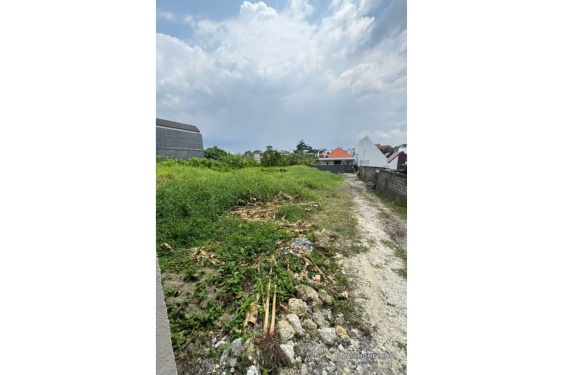 Image 16 from 2 bedroom villa and a land for sale in Pererenan