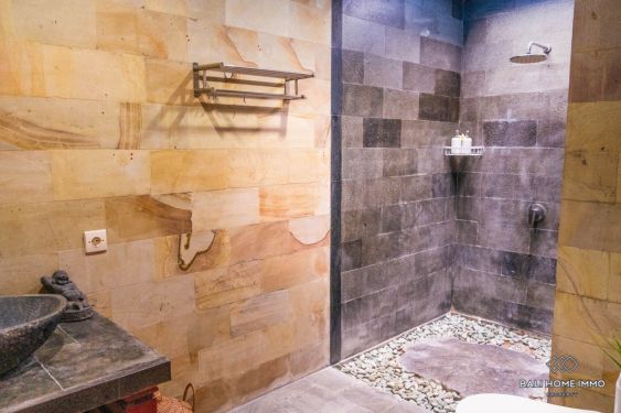 Image 11 from 2 Bedroom Villa for Monthly and Yearly Rental in Bali Canggu Residential Side