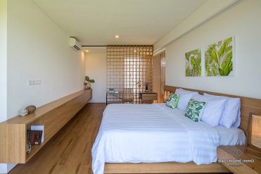 Image 4 from 2 Bedroom Villa for Rents in Canggu