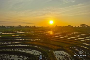 Image 3 from 2 Bedroom Villa for Rentals Near Cemagi Beach