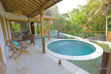 Image 1 from 2 Bedroom Villa for Monthly & Yearly Rental in Pererenan