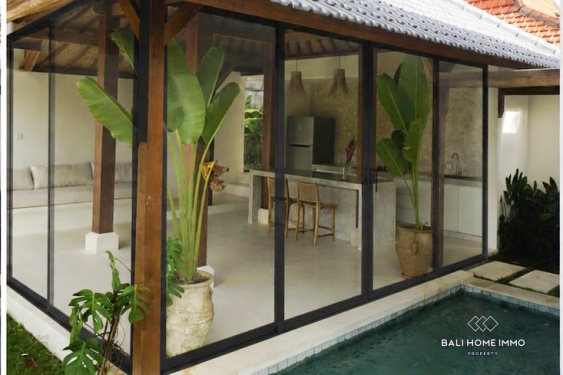 Villa 2 Kamar Disewakan di Bali Pererenan
