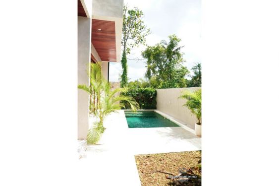 Image 11 from 2 Bedroom Villa For Rent in Cepaka near Seseh Bali