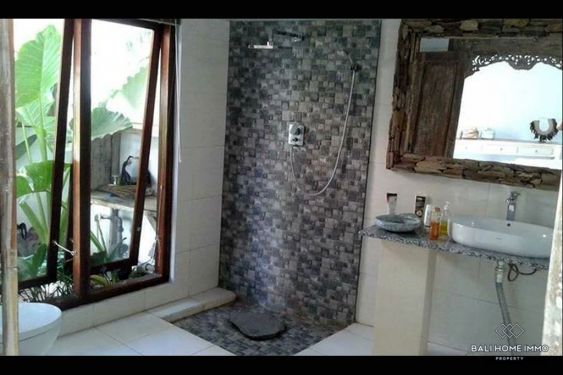 Image 8 from Villa 2 Kamar untuk Disewakan di Canggu Bali