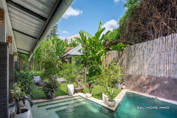 Image 20 from Villa 2 Kamar Disewakan di Canggu Batu Bolong