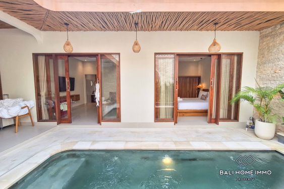 Image 8 from 2 Bedroom Villa for Rent in Canggu Batu Bolong