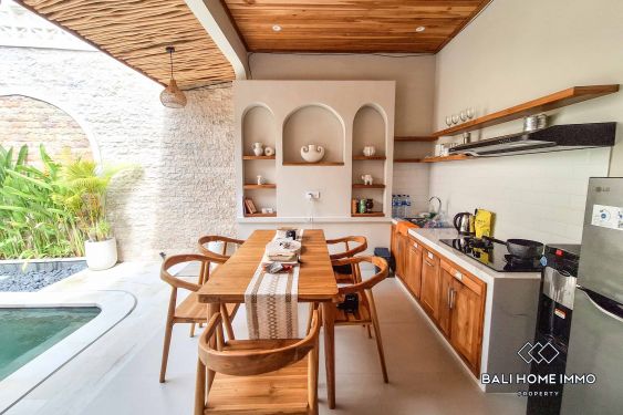 Image 7 from 2 Bedroom Villa for Rent in Canggu Batu Bolong