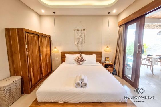 Image 10 from 2 Bedroom Villa for Rent in Canggu Batu Bolong
