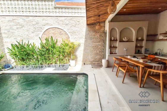 Image 4 from 2 Bedroom Villa for Rent in Canggu Batu Bolong