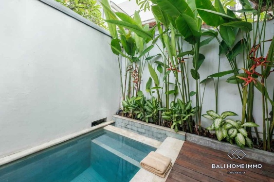 Image 10 from Villa 2 Kamar Disewakan di Canggu Berawa