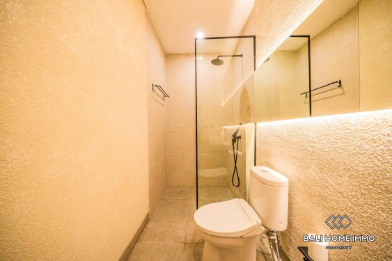 Image 17 from Loteng Villa Modern 2 Kamar Tidur Disewakan di Canggu Berawa