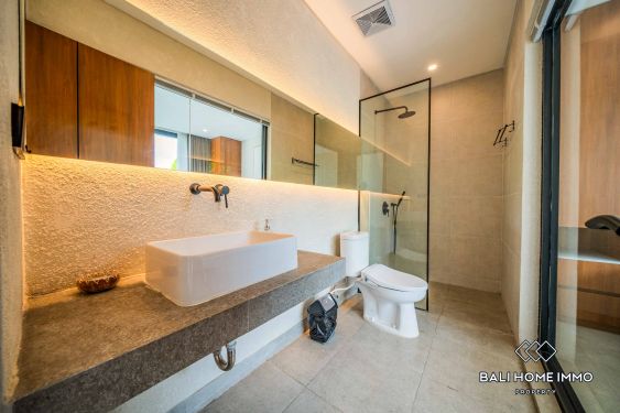 Image 15 from Loteng Villa Modern 2 Kamar Tidur Disewakan di Canggu Berawa