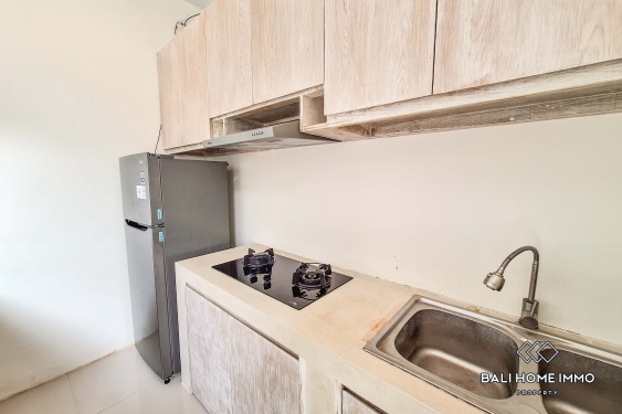 Image 4 from 2 Bedroom Villa for Rent in Canggu Residential Side