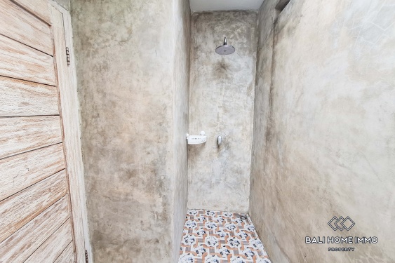 Image 8 from 2 Bedroom Villa for Rent in Canggu Residential Side