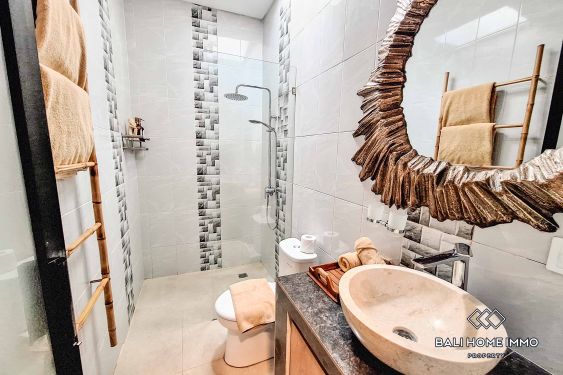 Image 14 from 2 Bedroom Villa for Rent in Canggu Padonan