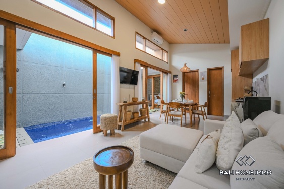 Image 3 from 2 Bedroom Villa for Rent in Canggu Residential Side