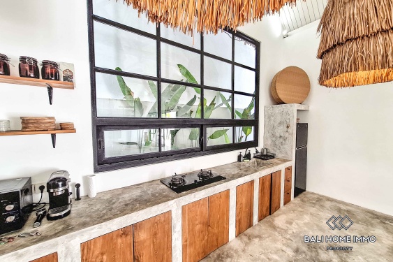 Image 7 from 2 Bedroom Villa For Rent in Canggu Residential Side