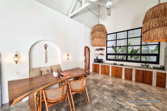 Image 6 from 2 Bedroom Villa For Rent in Canggu Residential Side