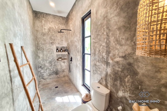 Image 13 from 2 Bedroom Villa For Rent in Canggu Residential Side