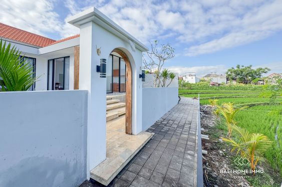 Image 11 from Vila 2 Kamar Disewakan tahunan di Padonan Canggu